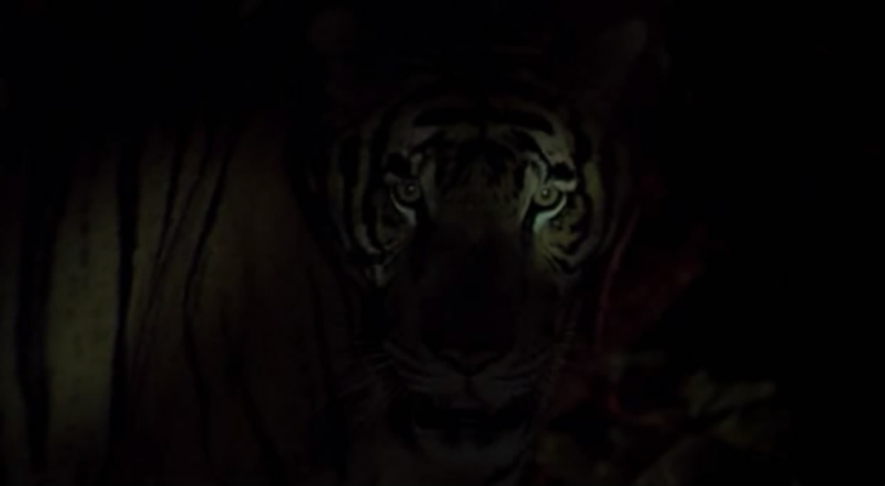 热带疾病剧照的剧照