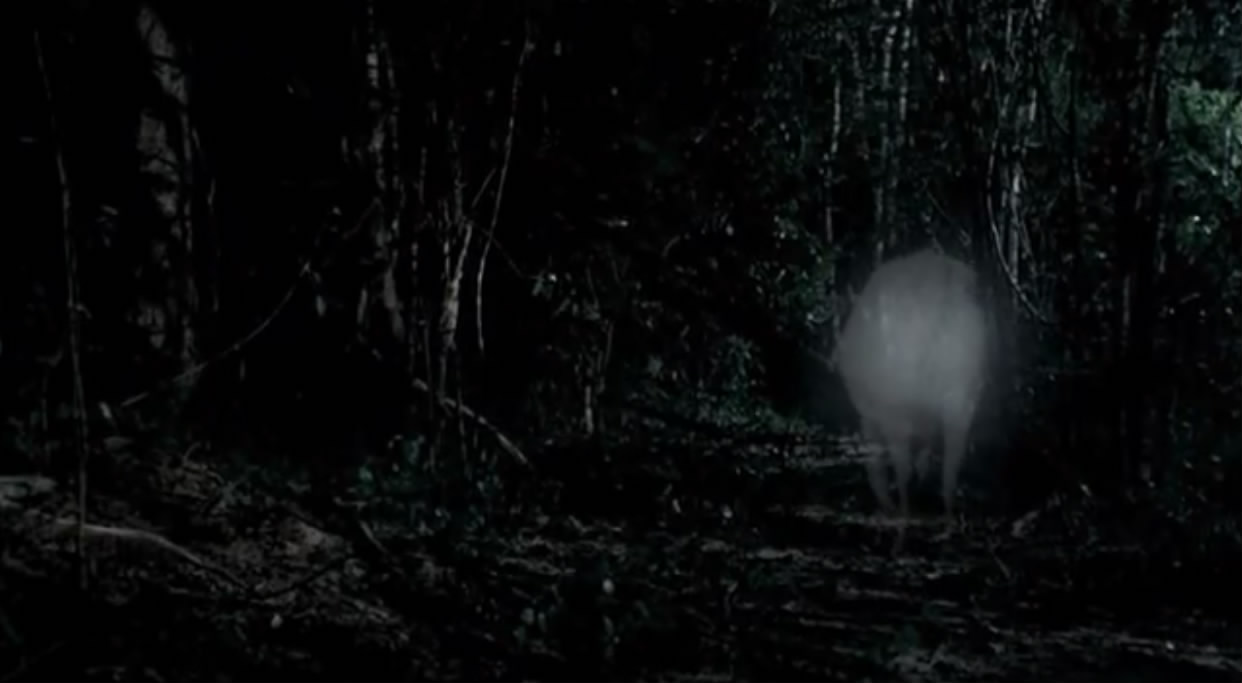 热带疾病剧照的剧照