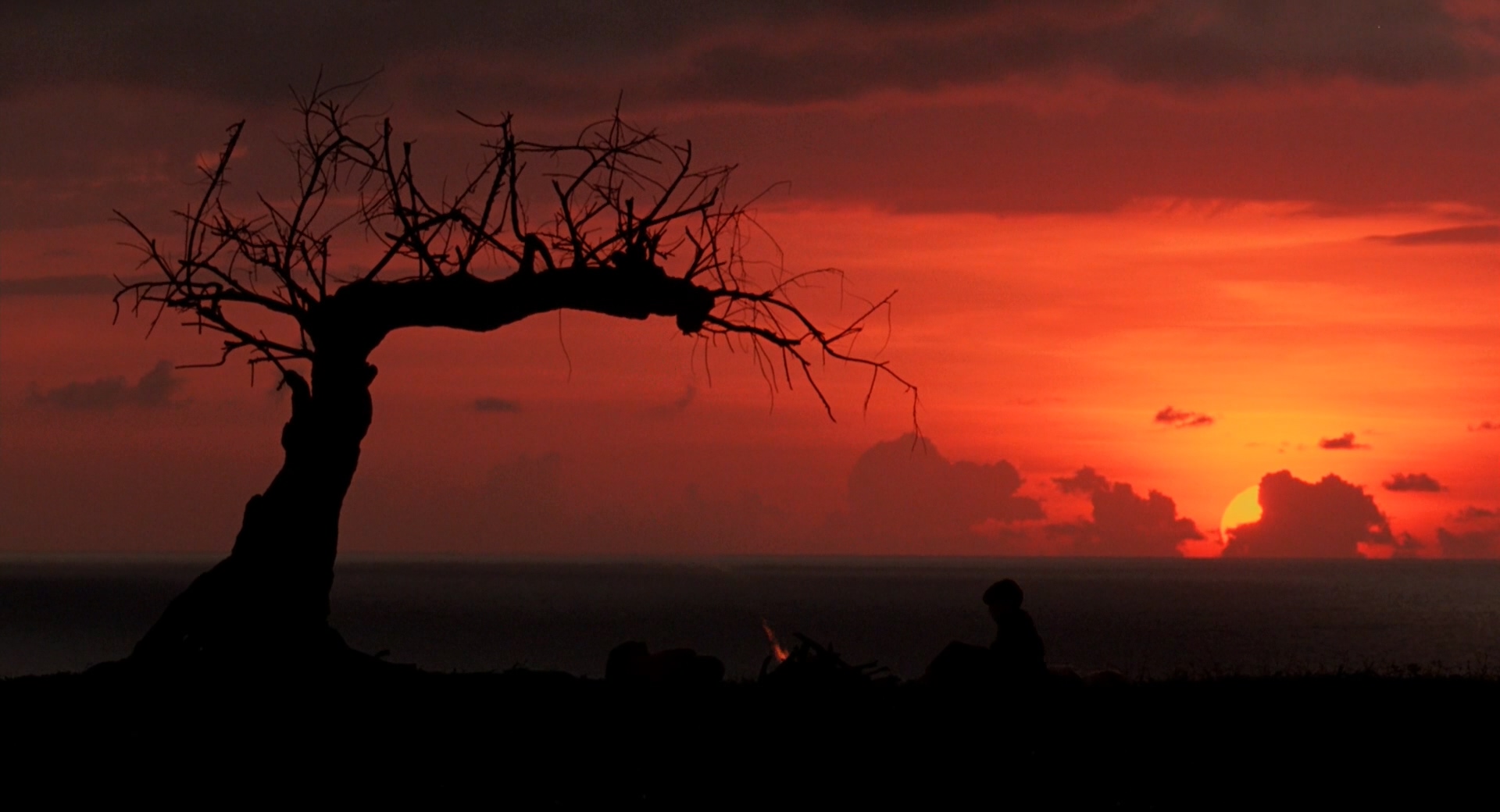 蝇王剧照的剧照