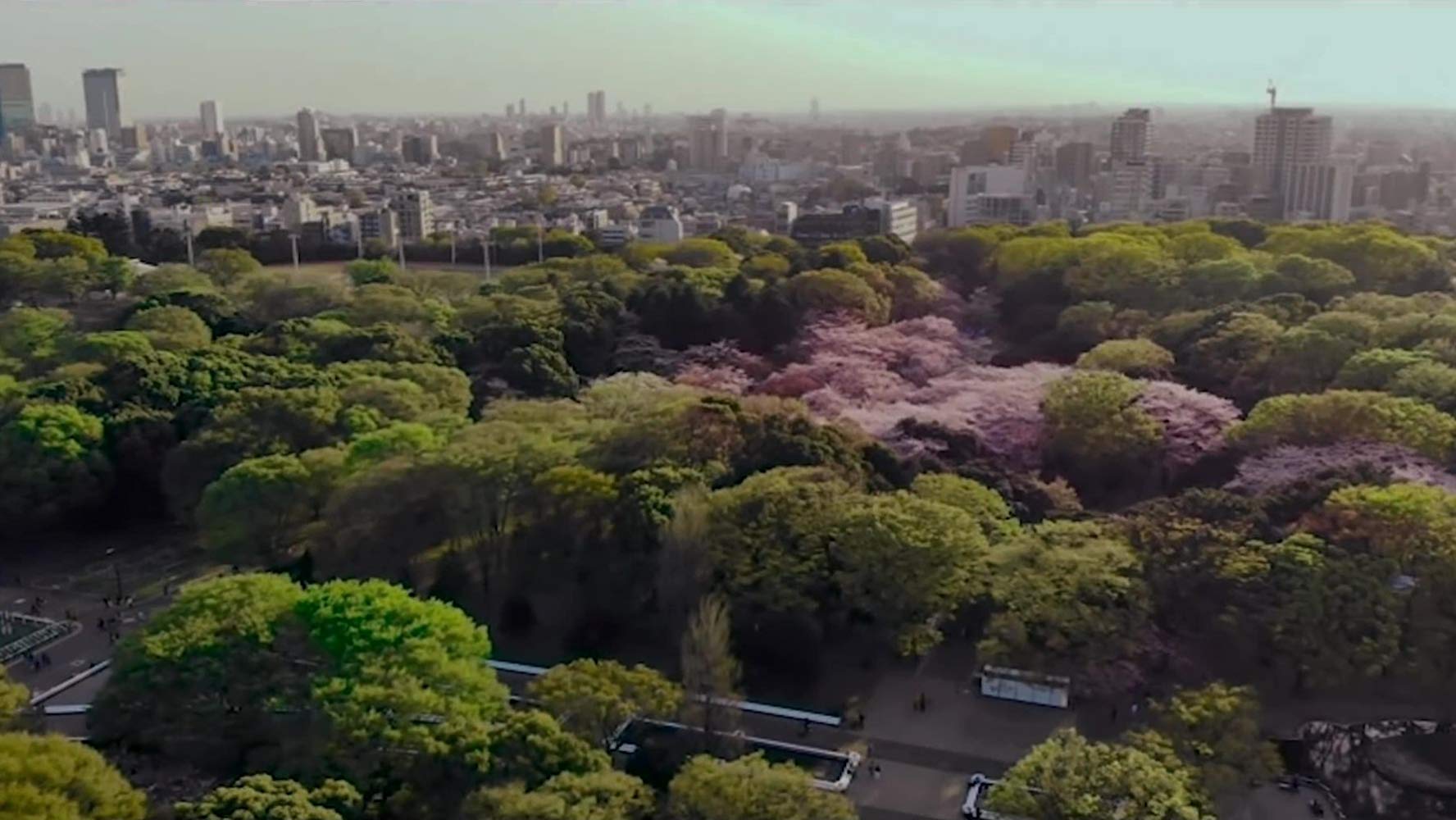 家庭罗曼史有限公司剧照的剧照