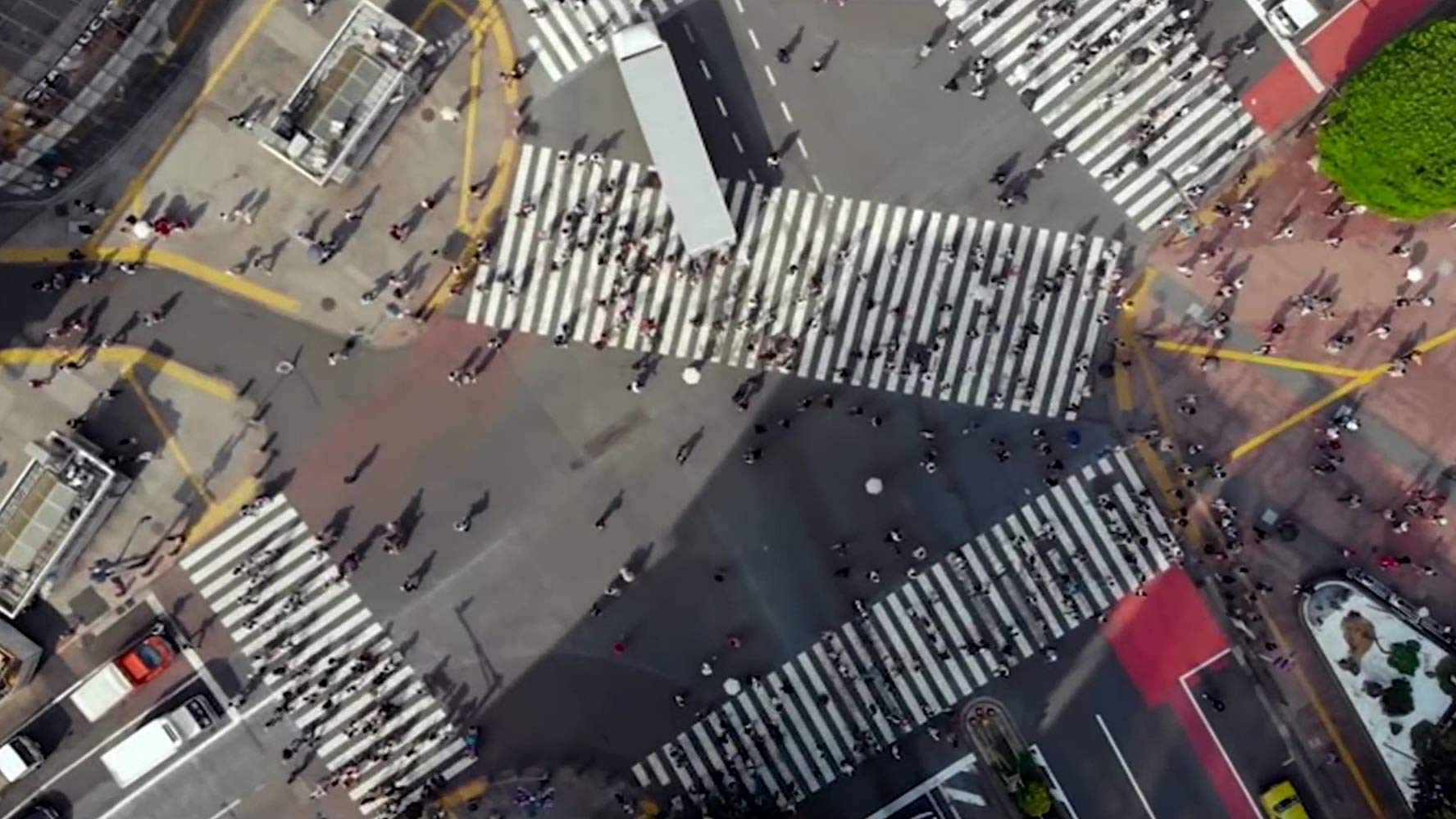 家庭罗曼史有限公司剧照的剧照