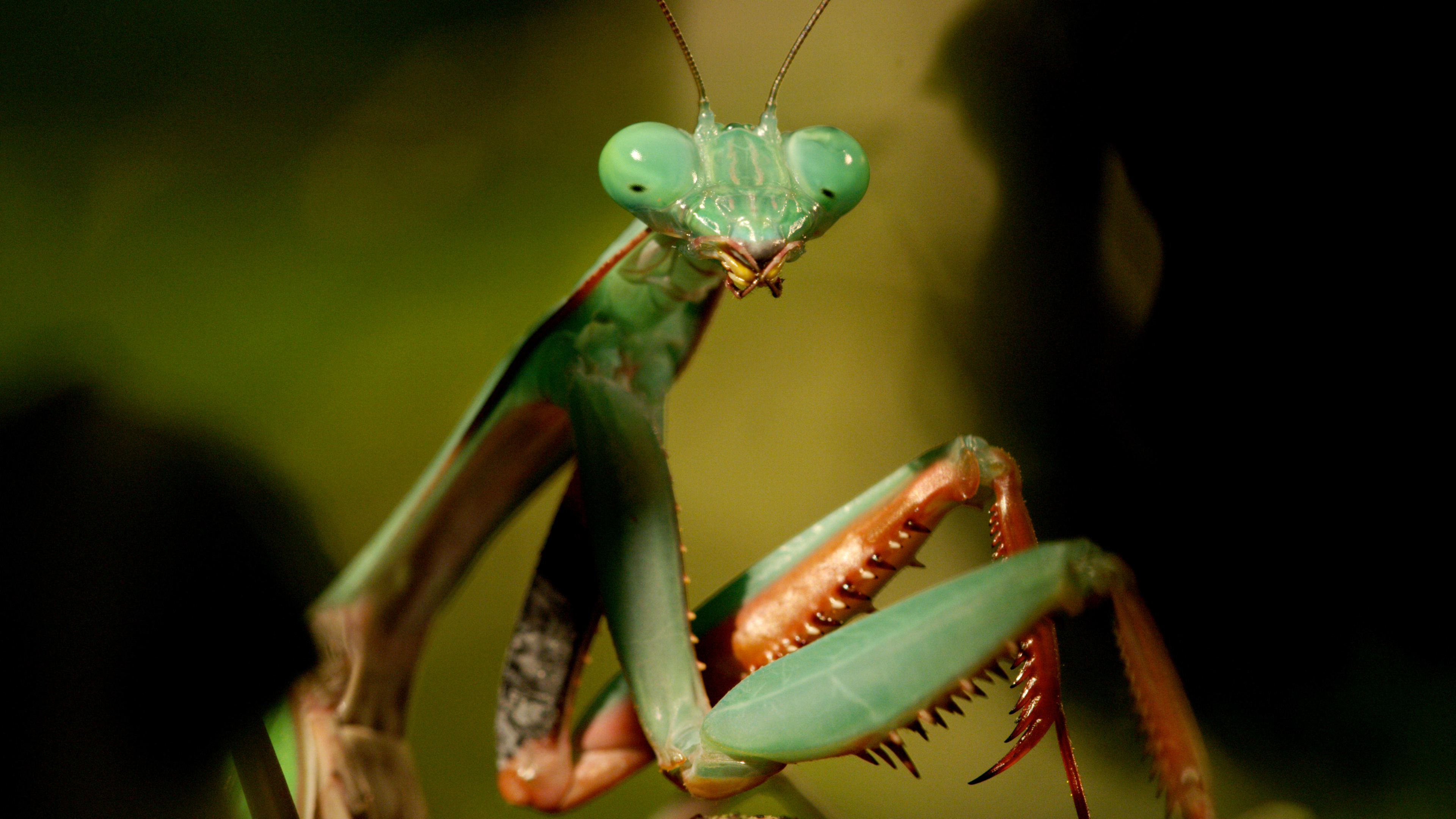 你这个坏怂剧照的剧照