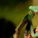 你这个坏怂剧照