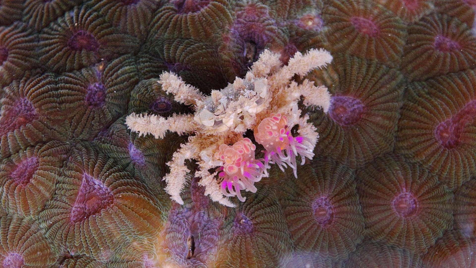 你这个坏怂剧照的剧照