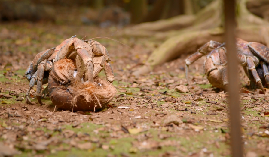 你这个坏怂剧照的剧照