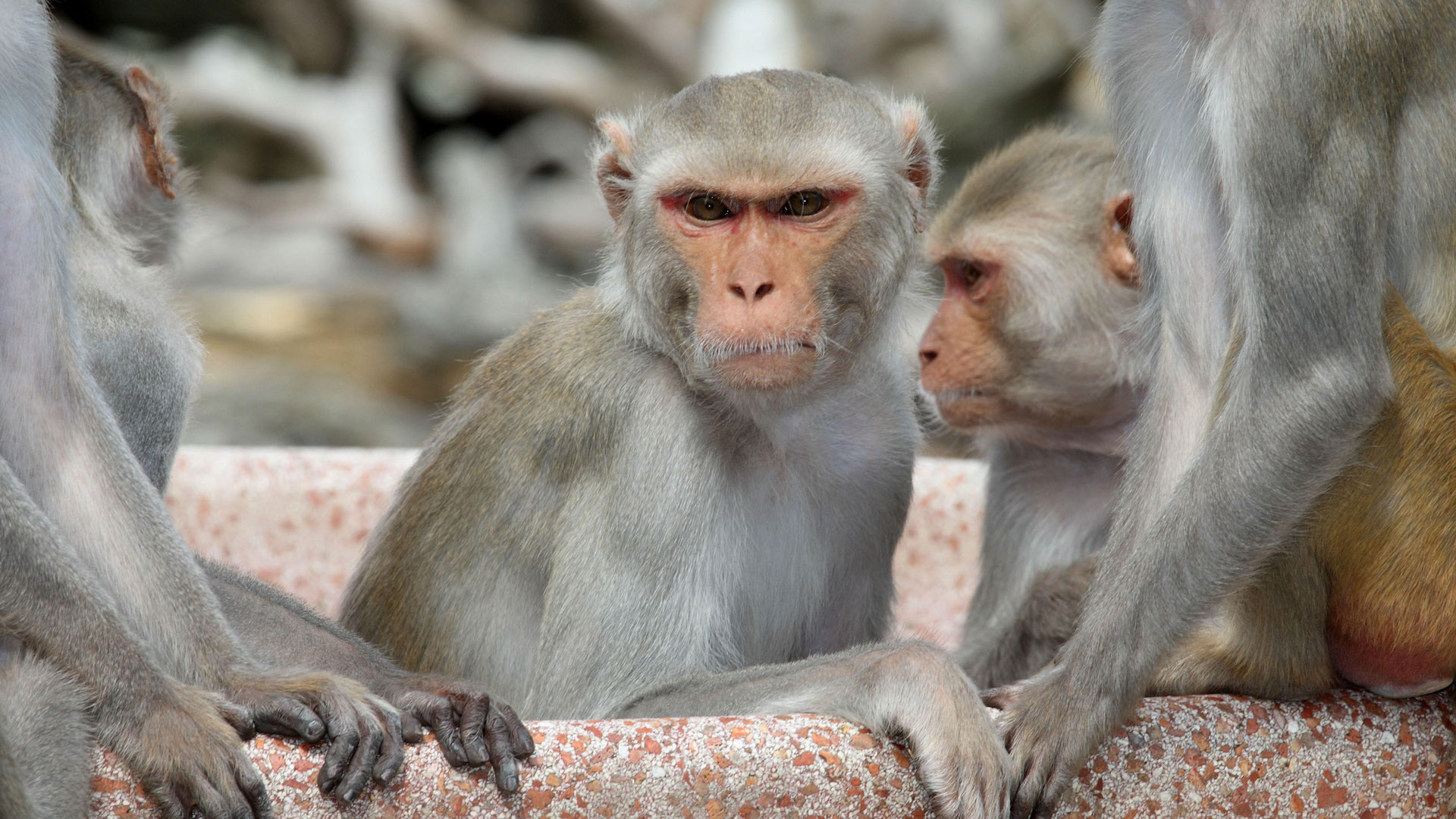 你这个坏怂剧照的剧照