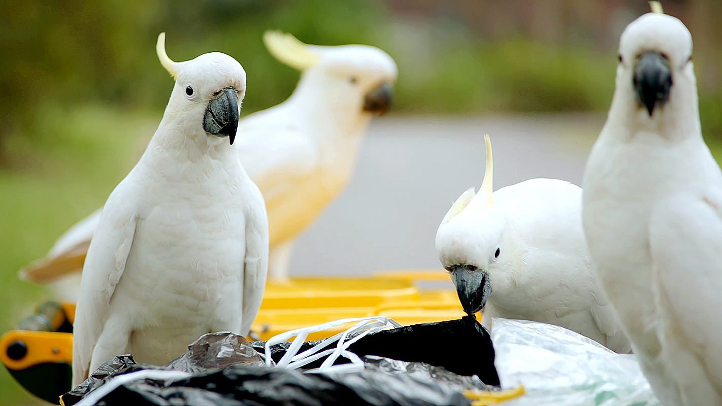 你这个坏怂剧照的剧照