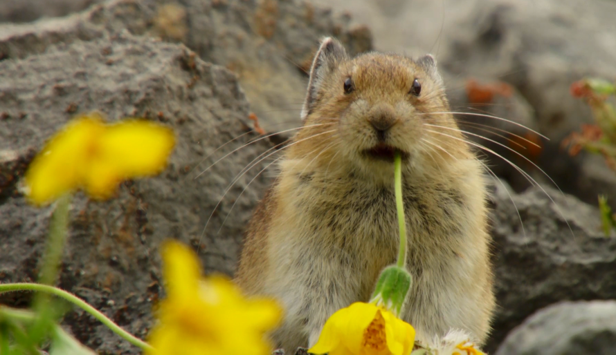 你这个坏怂剧照的剧照