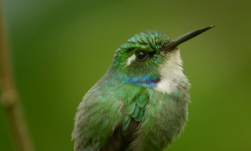 你这个坏怂剧照的剧照