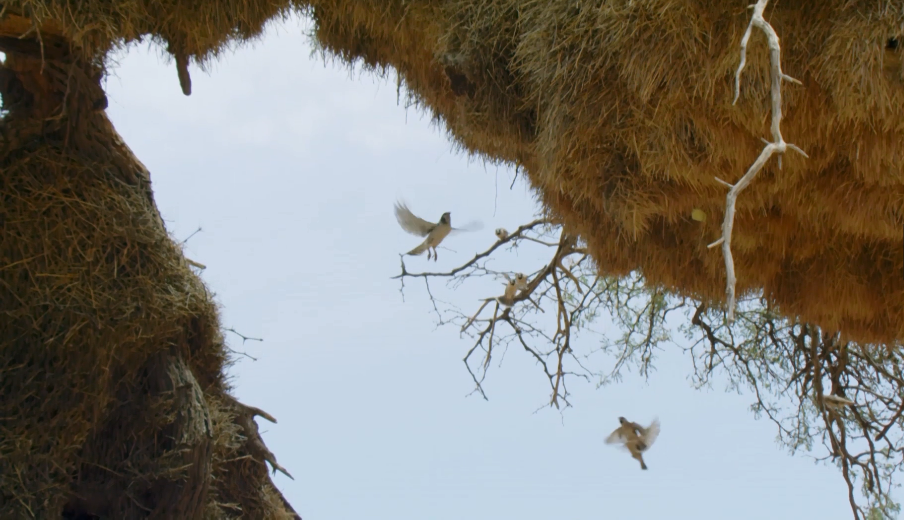你这个坏怂剧照的剧照