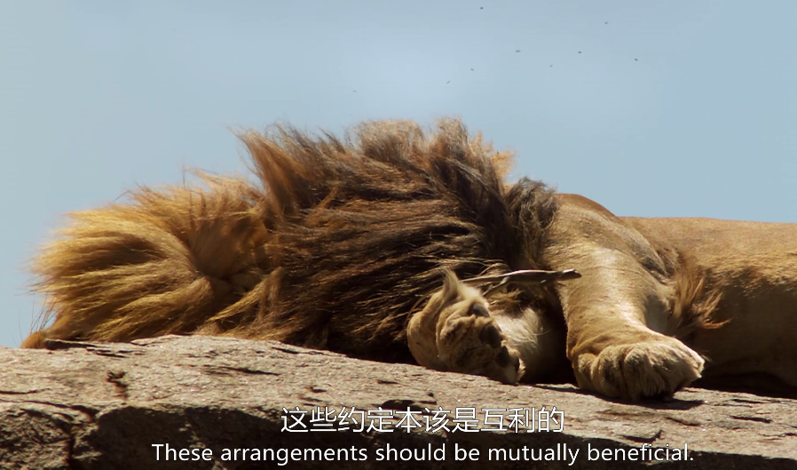 你这个坏怂剧照的剧照