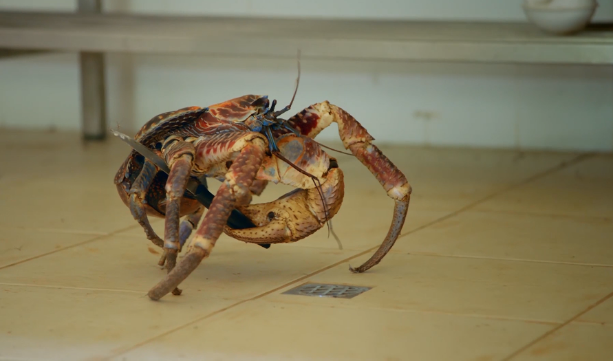 你这个坏怂剧照的剧照