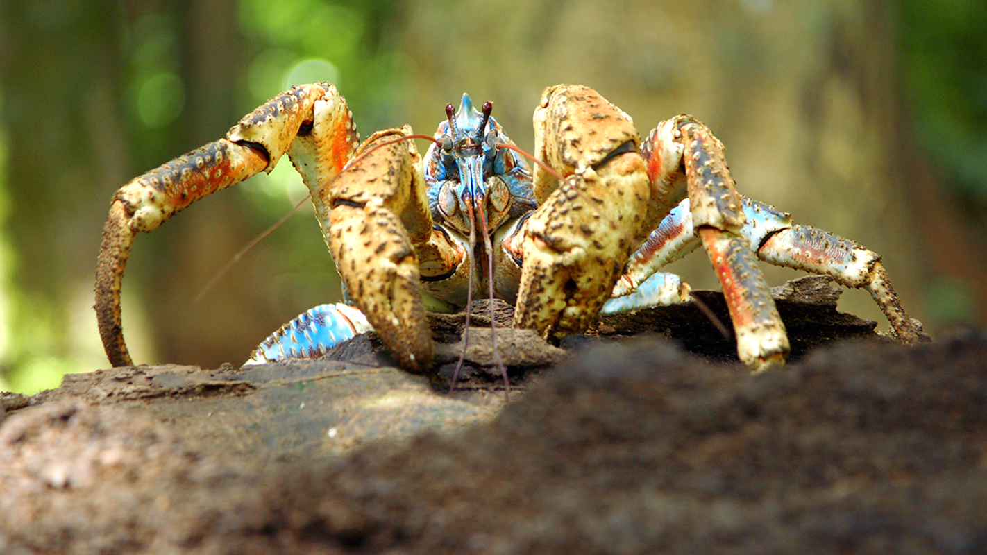 你这个坏怂剧照的剧照