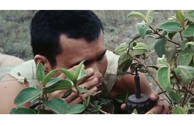 投奔怒海剧照的剧照