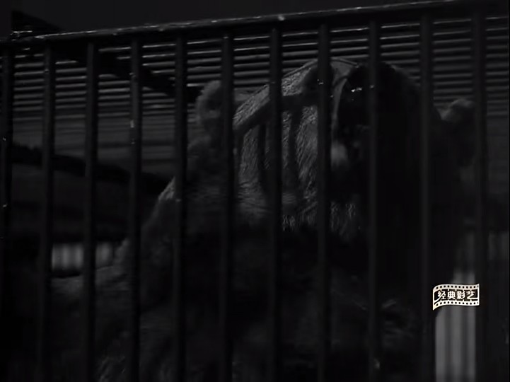 夸特马斯实验剧照的剧照