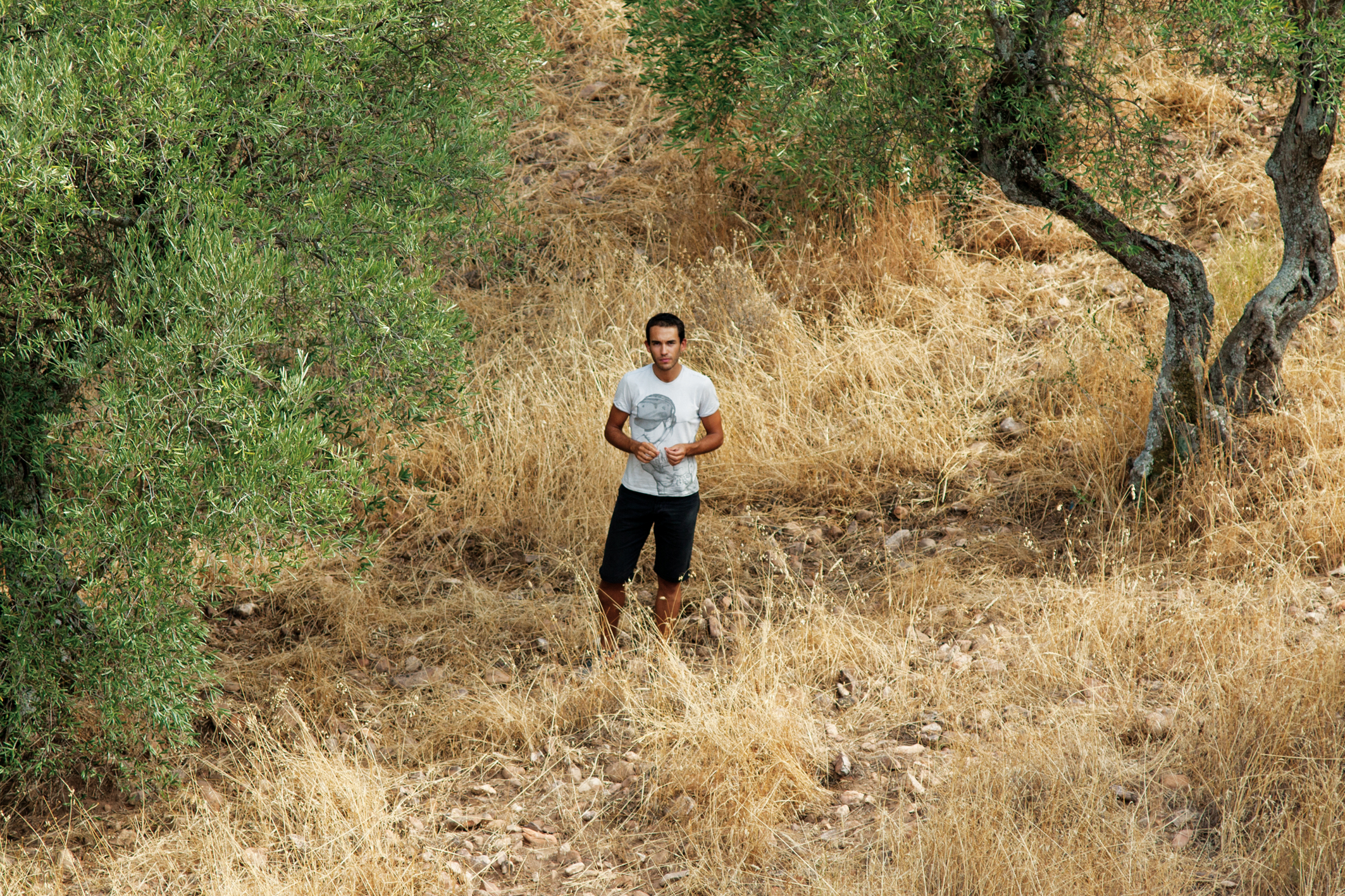 无眠骑士剧照的剧照