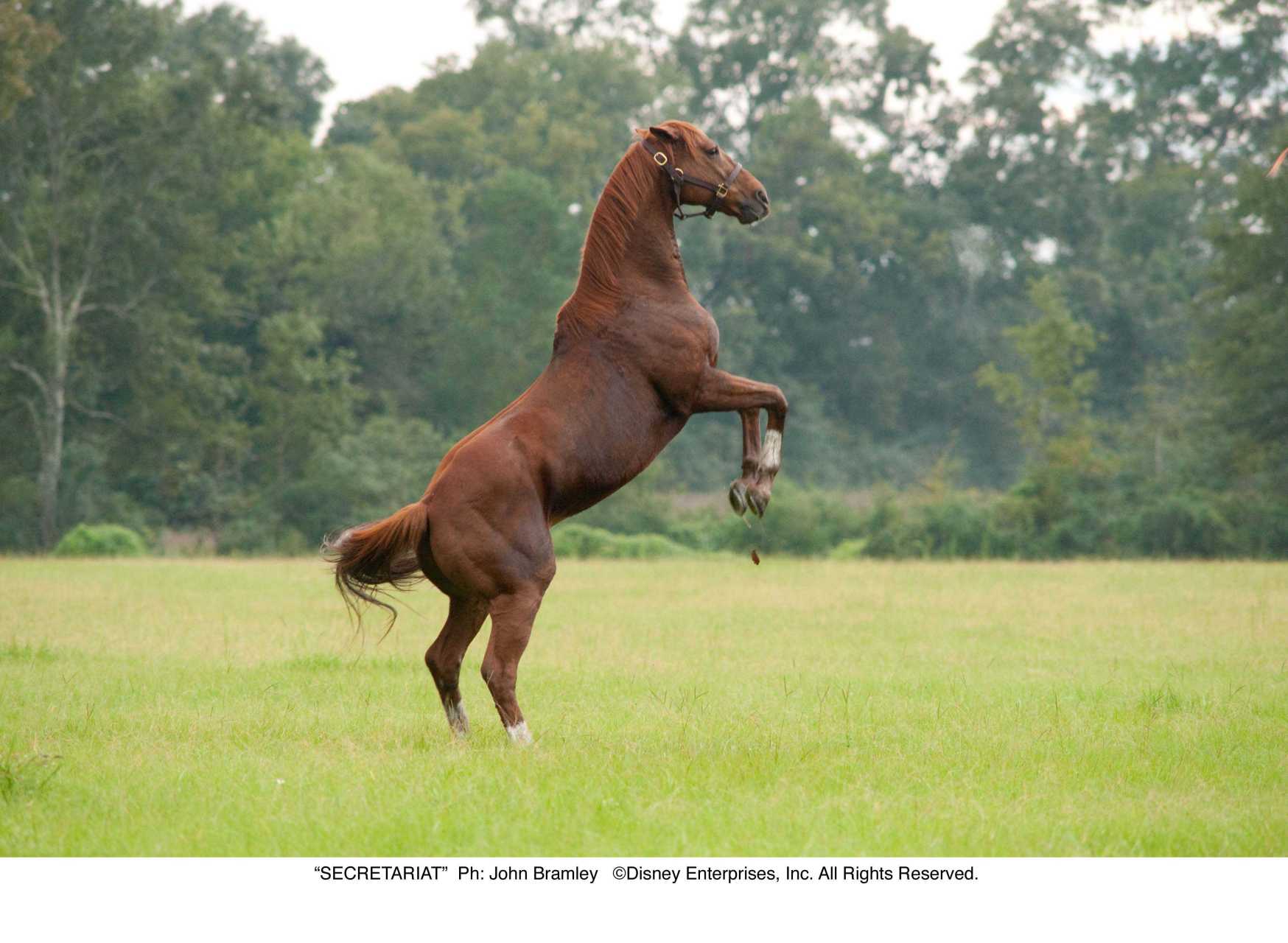 一代骄马剧照的剧照