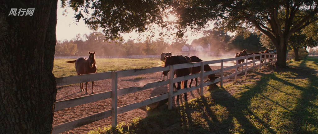 一代骄马剧照的剧照