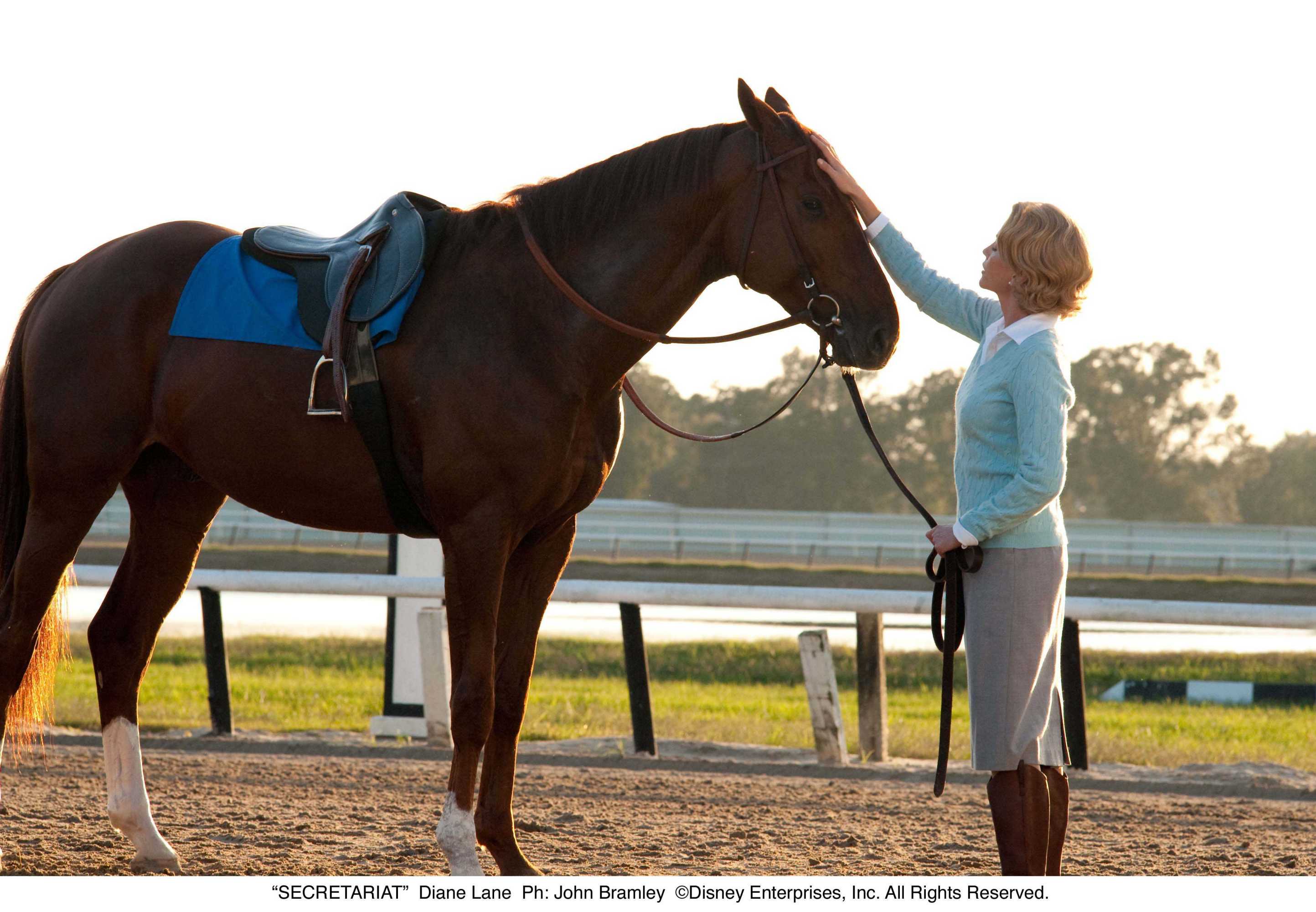 一代骄马剧照的剧照