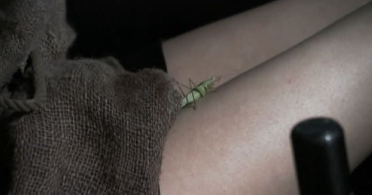 鬼女魔咒剧照的剧照