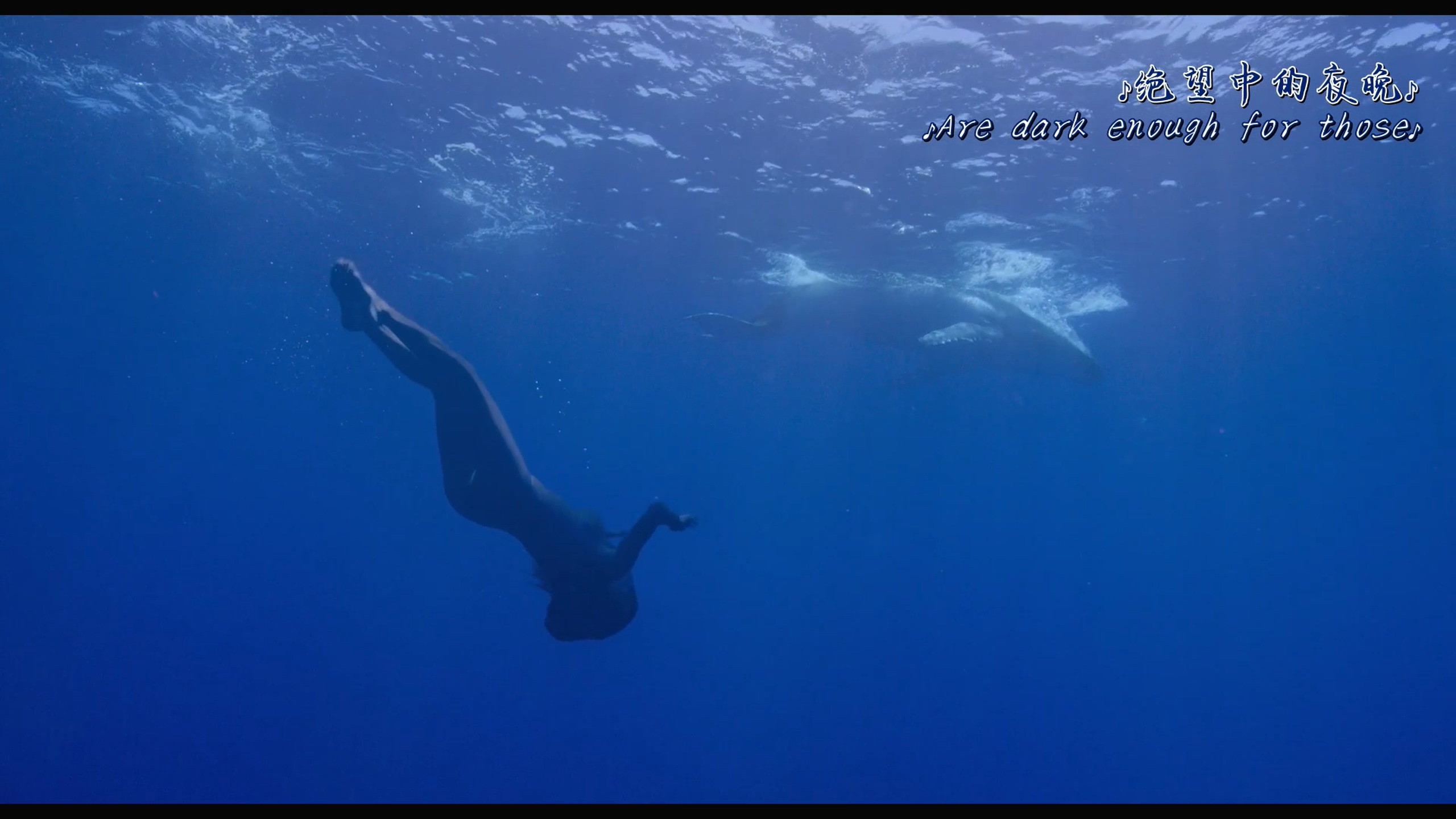 女人剧照的剧照