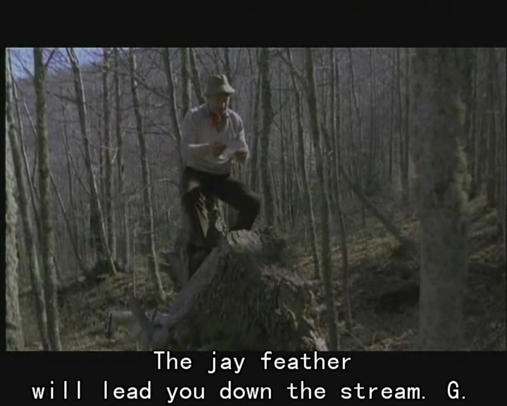 巢穴剧照的剧照