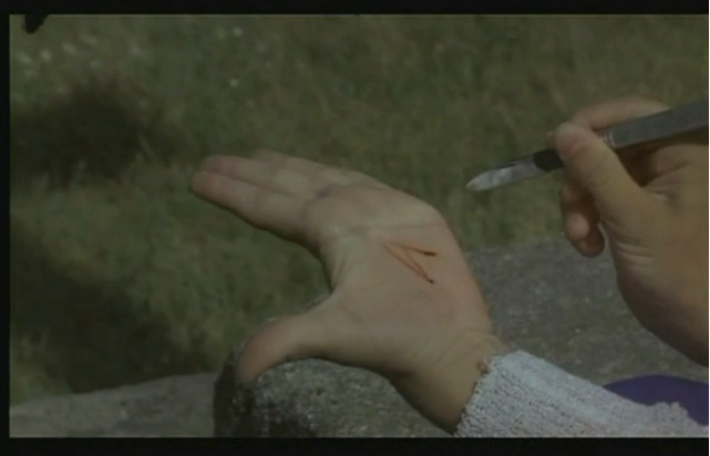 巢穴剧照的剧照