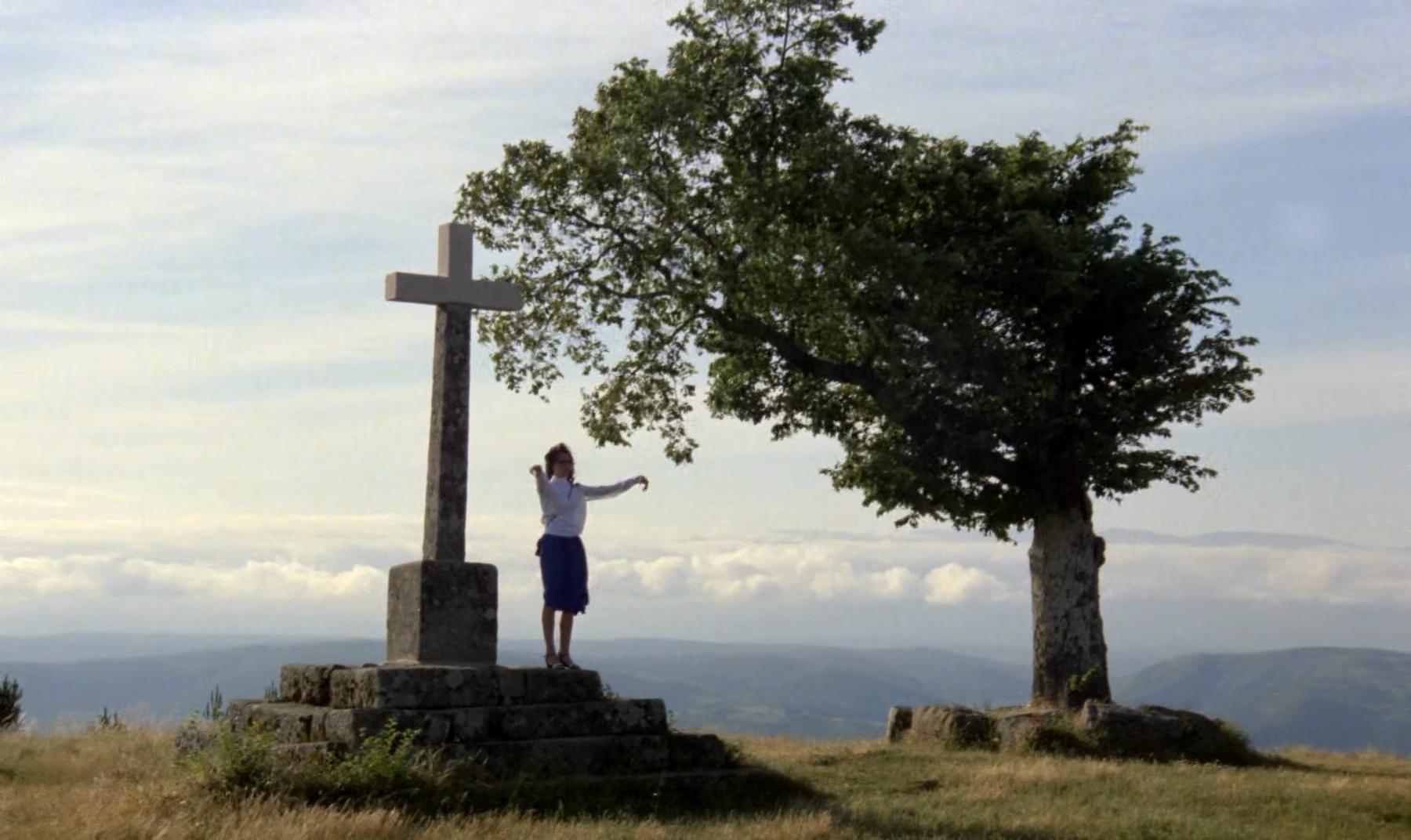 巢穴剧照的剧照