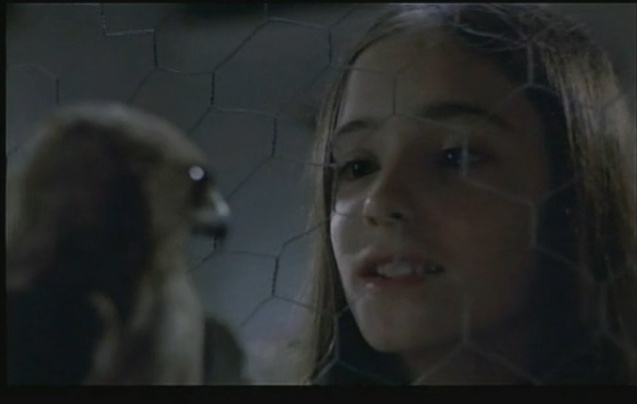 巢穴剧照的剧照