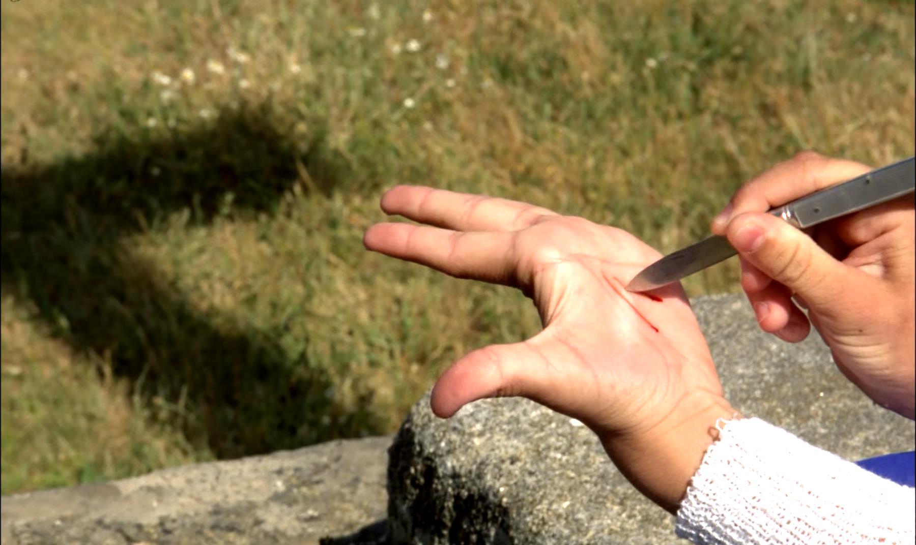 巢穴剧照的剧照