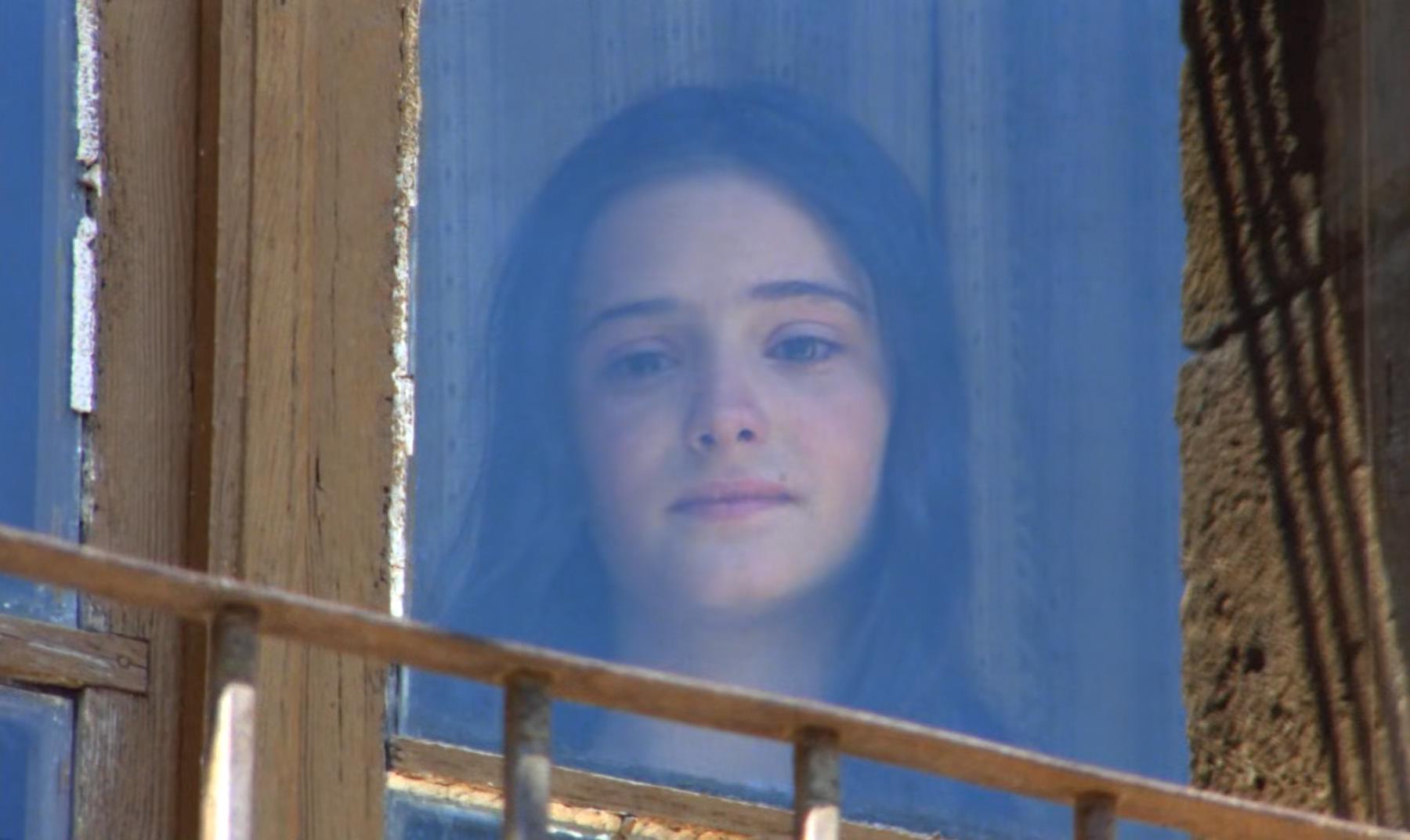 巢穴剧照的剧照