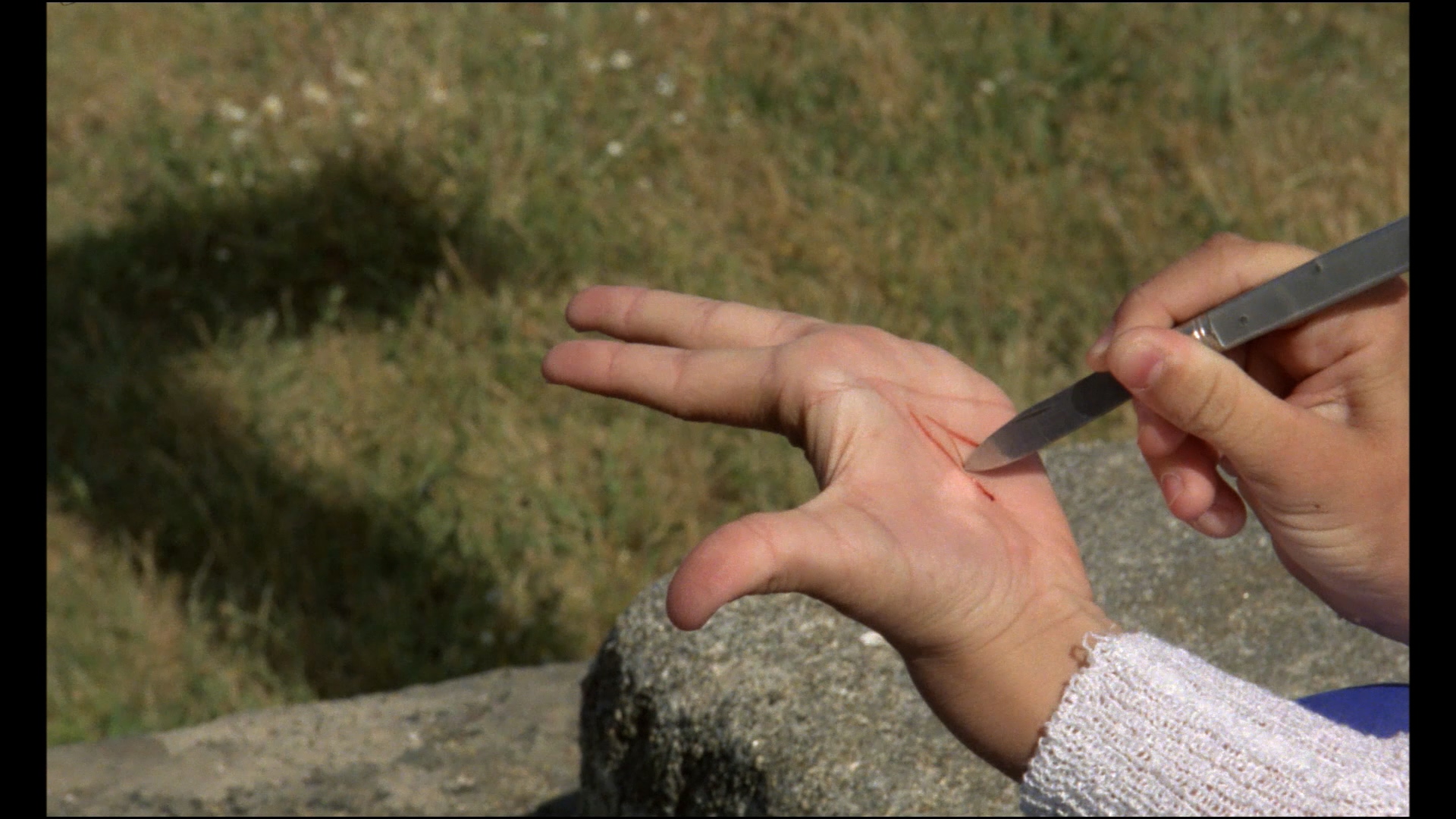 巢穴剧照的剧照