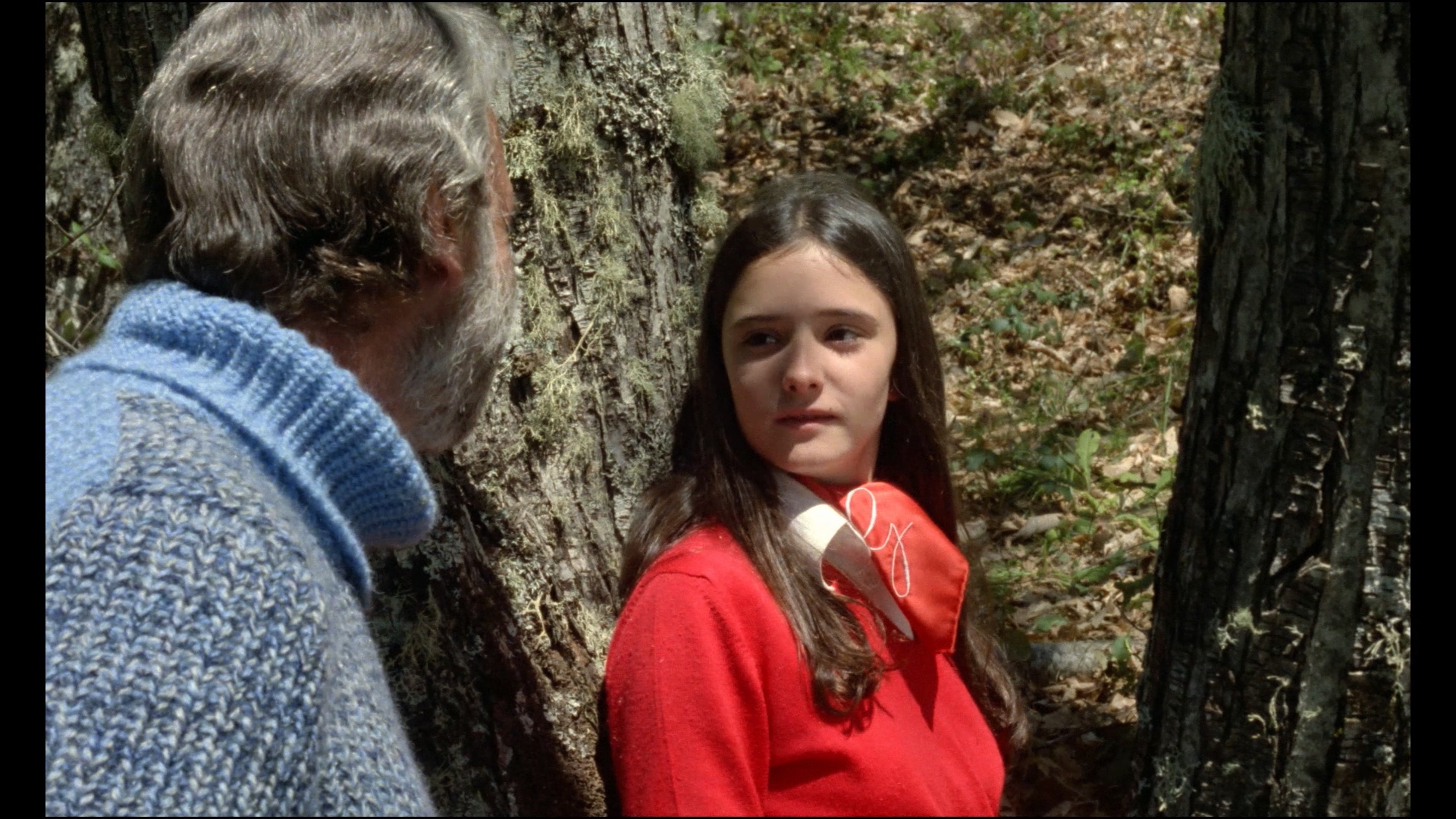 巢穴剧照的剧照