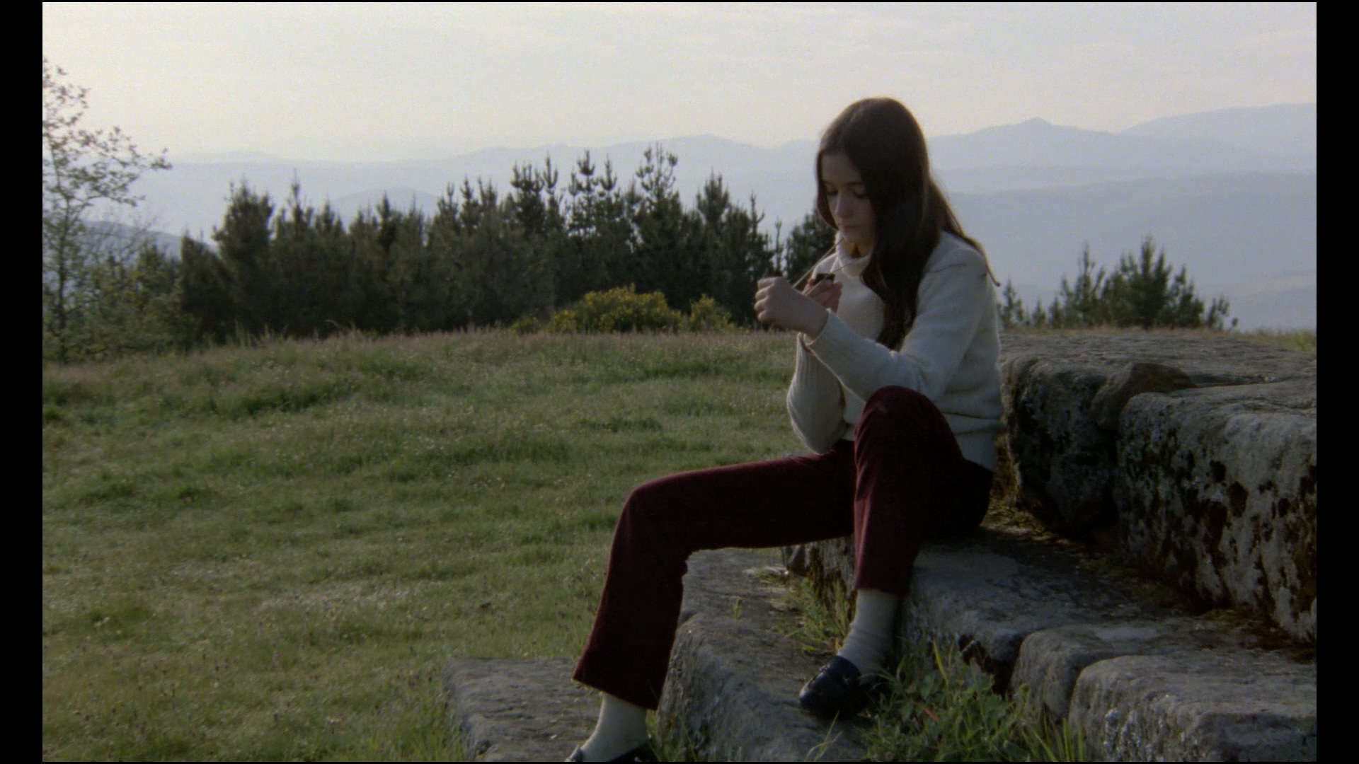 巢穴剧照的剧照