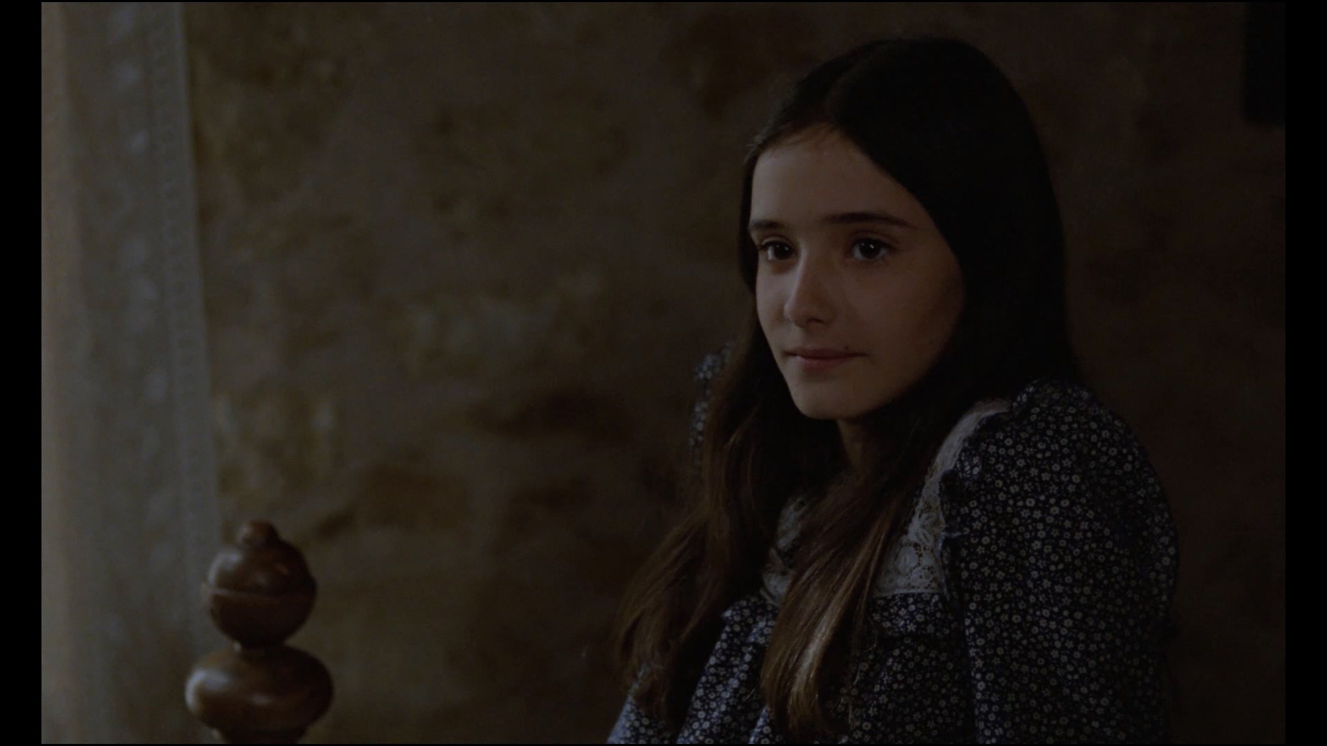 巢穴剧照的剧照