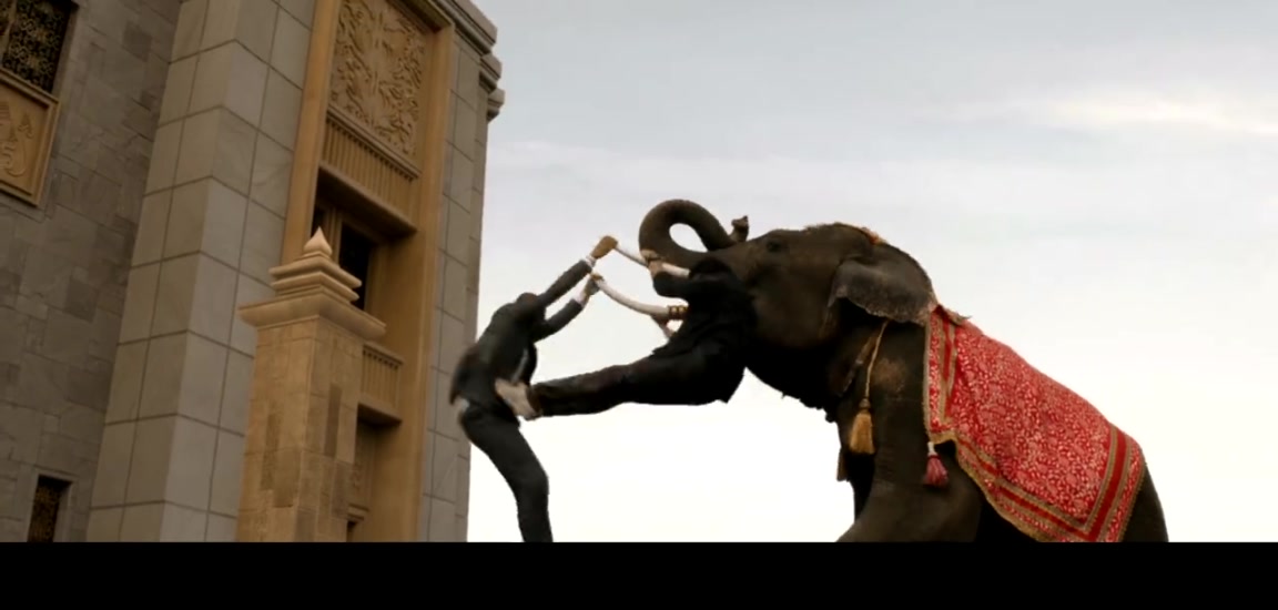 冬荫功2：拳霸天下剧照的剧照