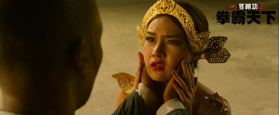 冬荫功2：拳霸天下剧照的剧照