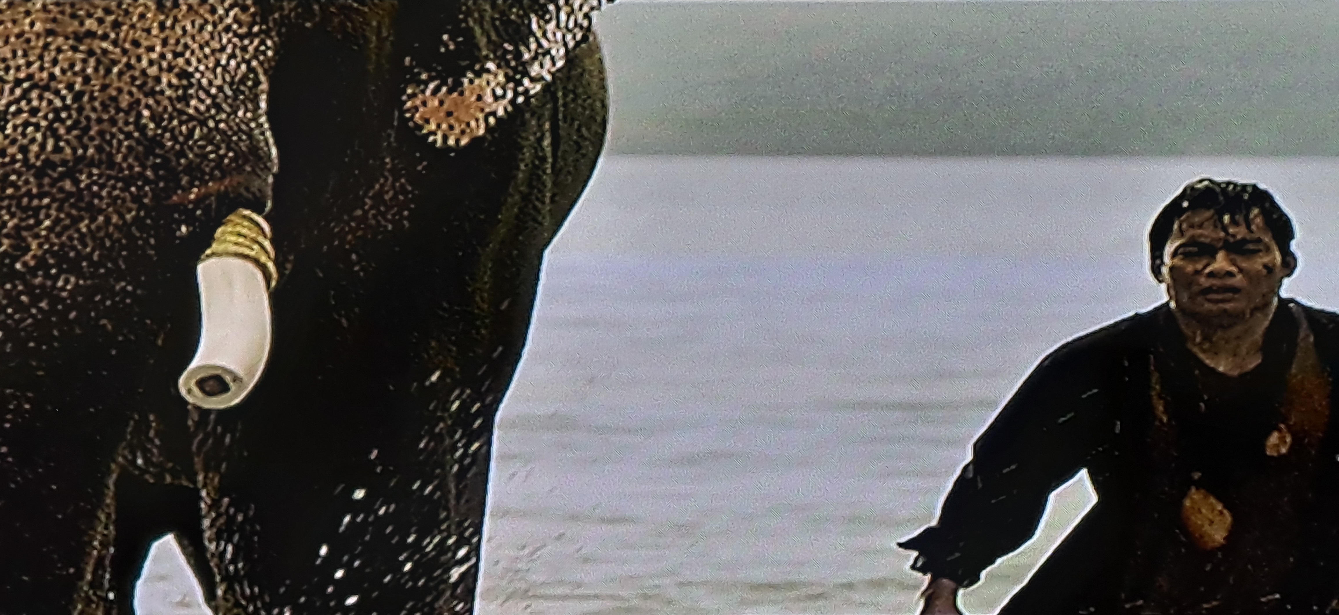 冬荫功2：拳霸天下剧照的剧照