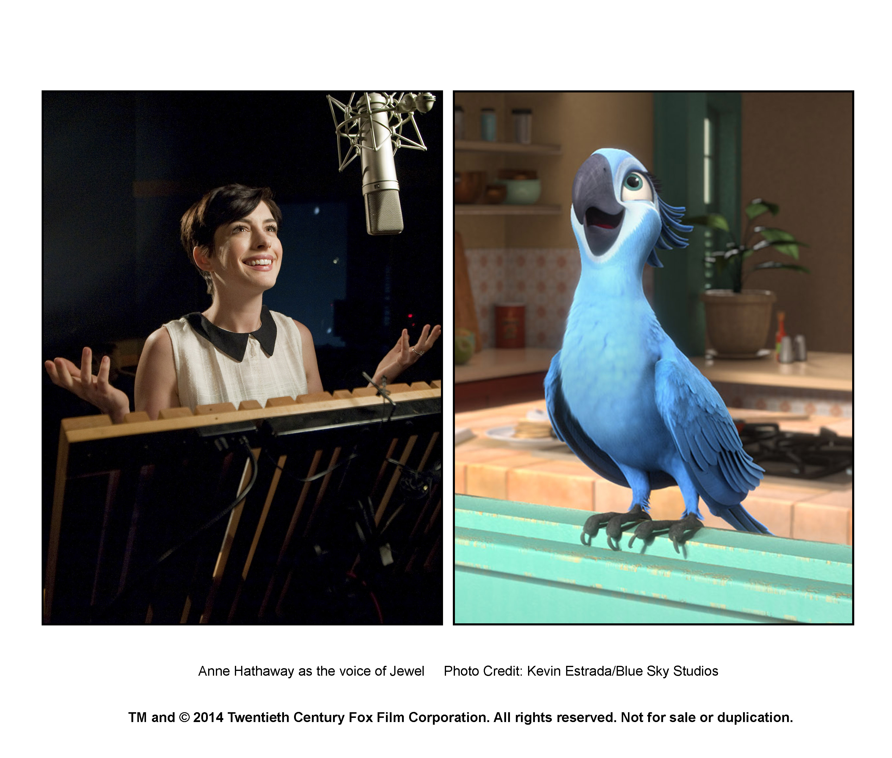 里约大冒险2剧照的剧照