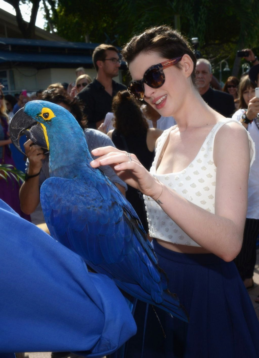 里约大冒险2剧照的剧照