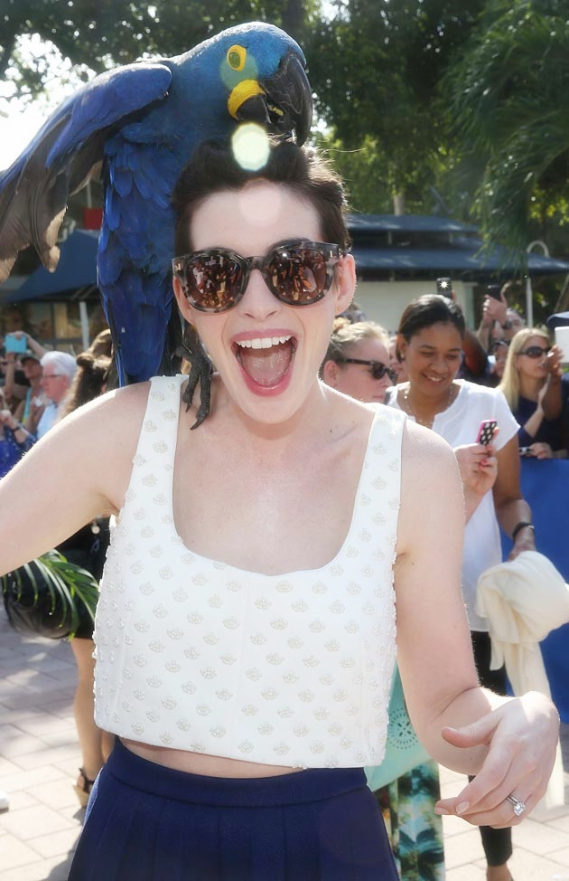 里约大冒险2剧照的剧照