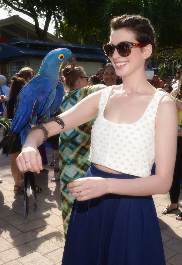 里约大冒险2剧照的剧照