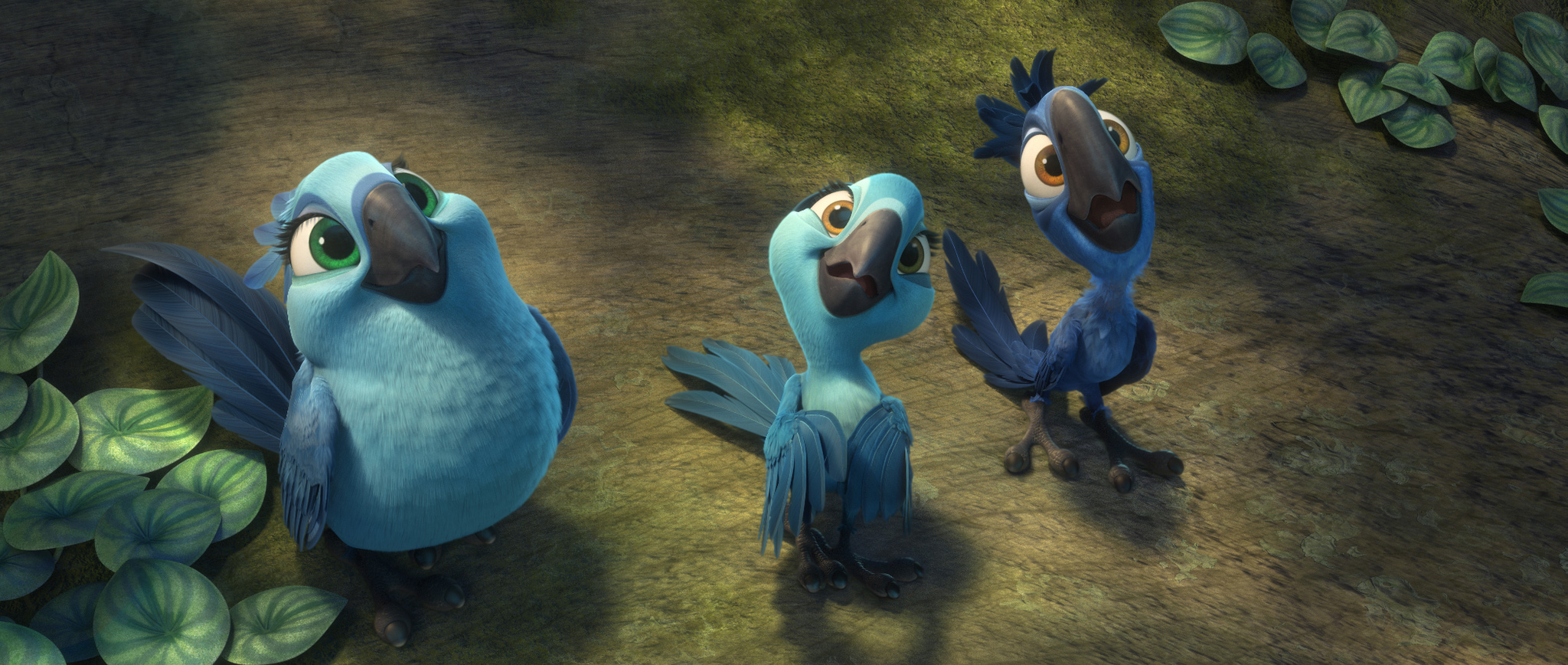 里约大冒险2剧照的剧照