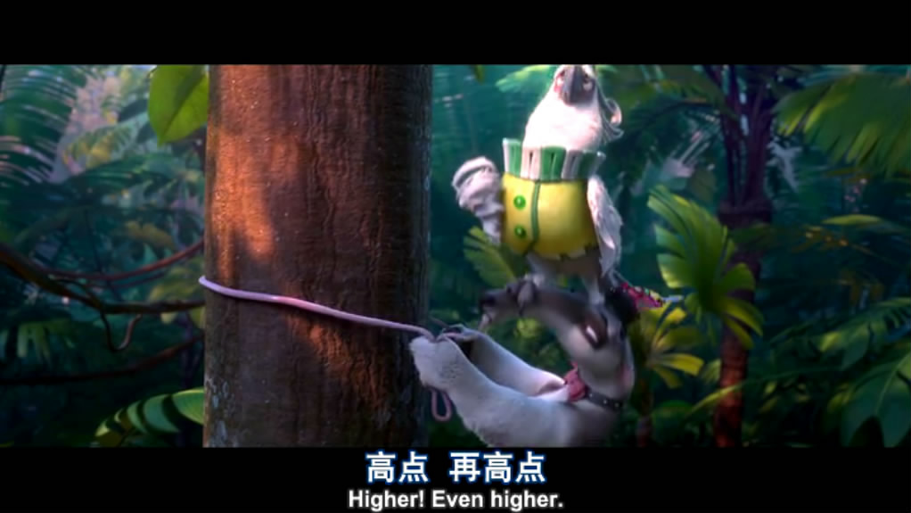 里约大冒险2剧照的剧照