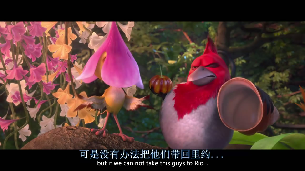 里约大冒险2剧照的剧照