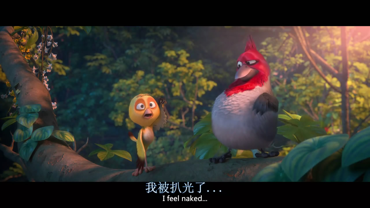 里约大冒险2剧照的剧照