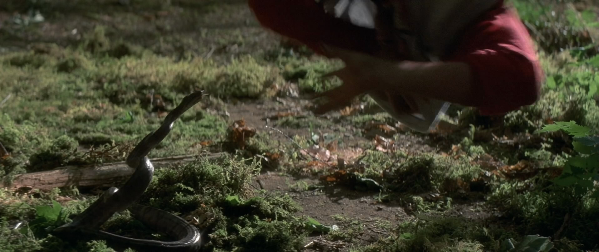 恐怖愚人节剧照的剧照