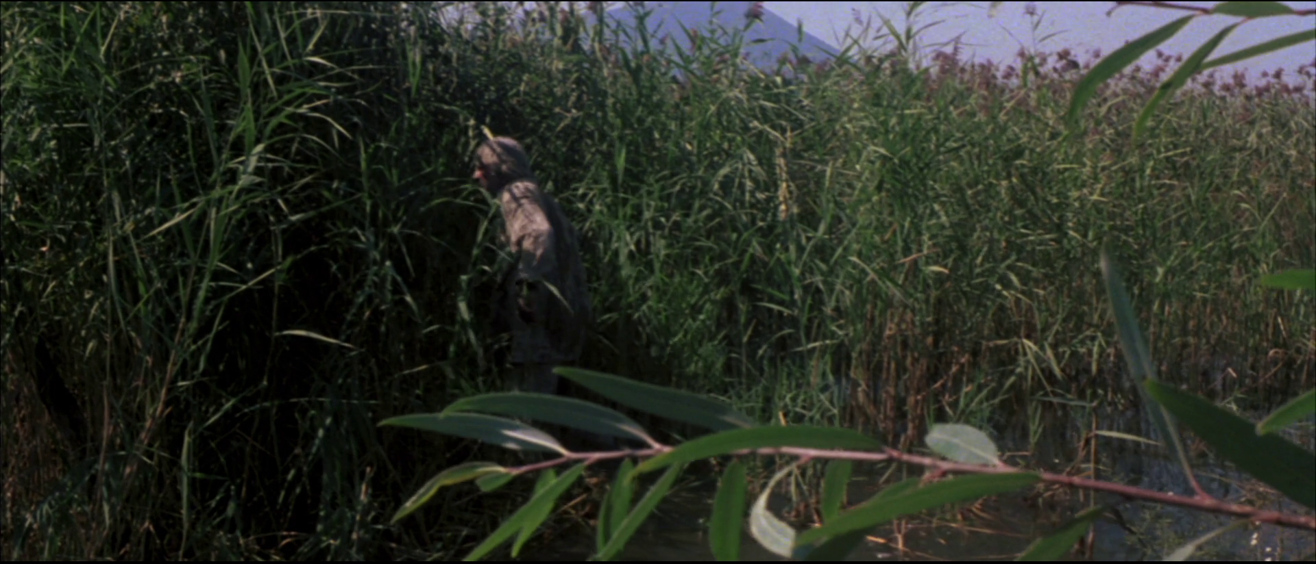 鲛鮹岛剧照的剧照