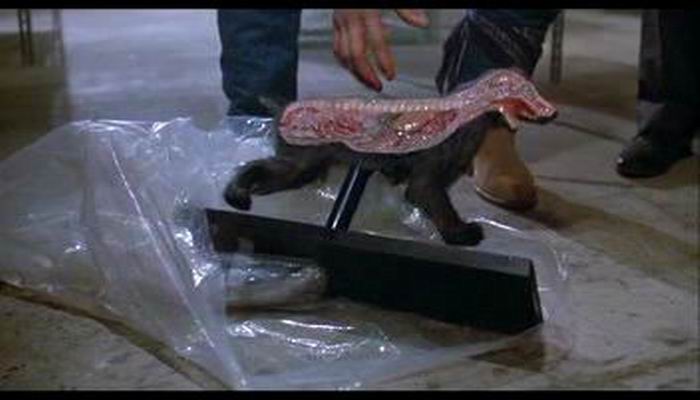 活死人归来剧照的剧照