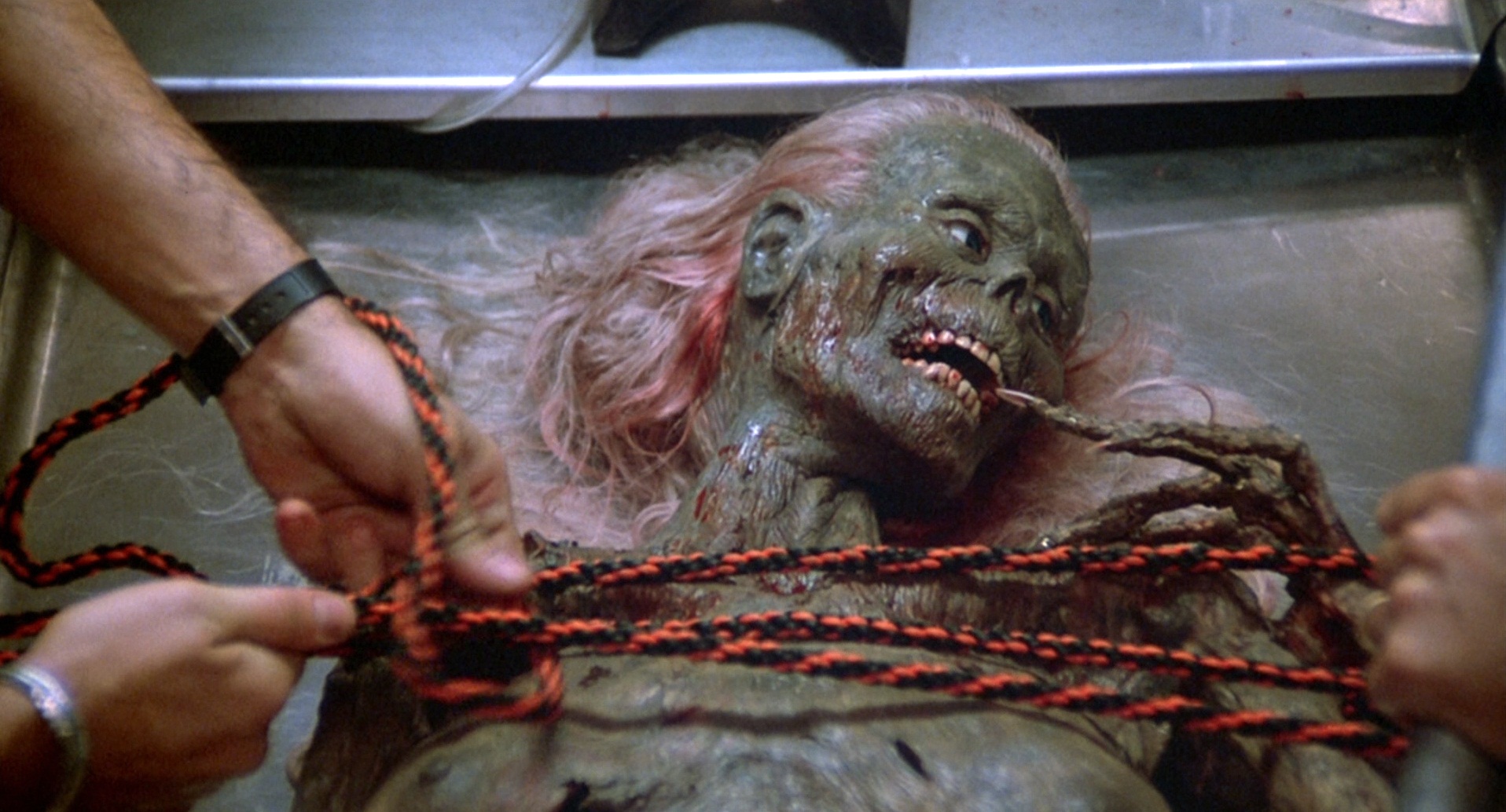 活死人归来剧照的剧照